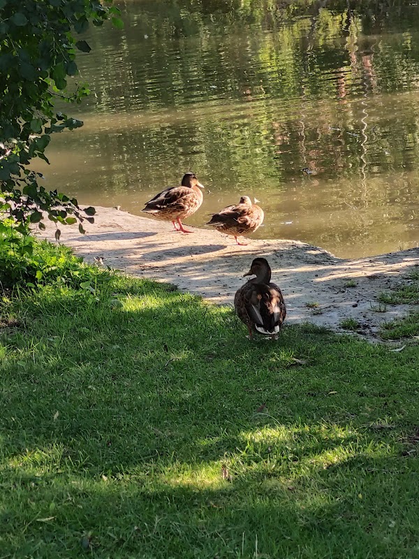 Wesley Brooks Conservation Area 2
