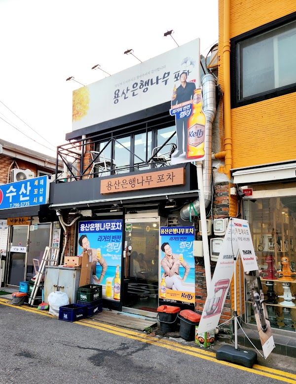 은행나무포차