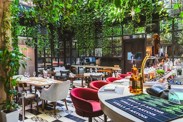 La Única Cartagena - Cocina Mexicana Steak House & Cava