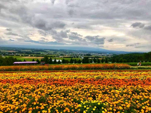 Furano 5