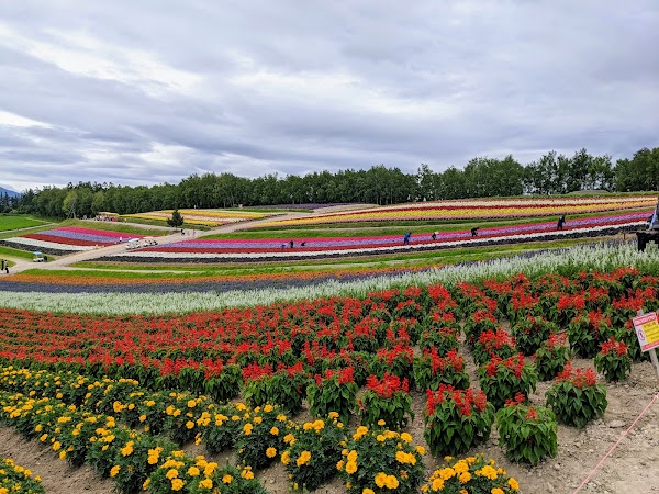 Furano 3