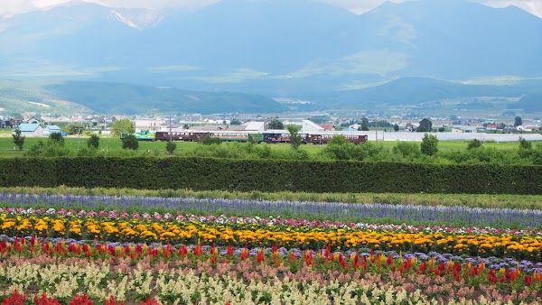 Furano 2