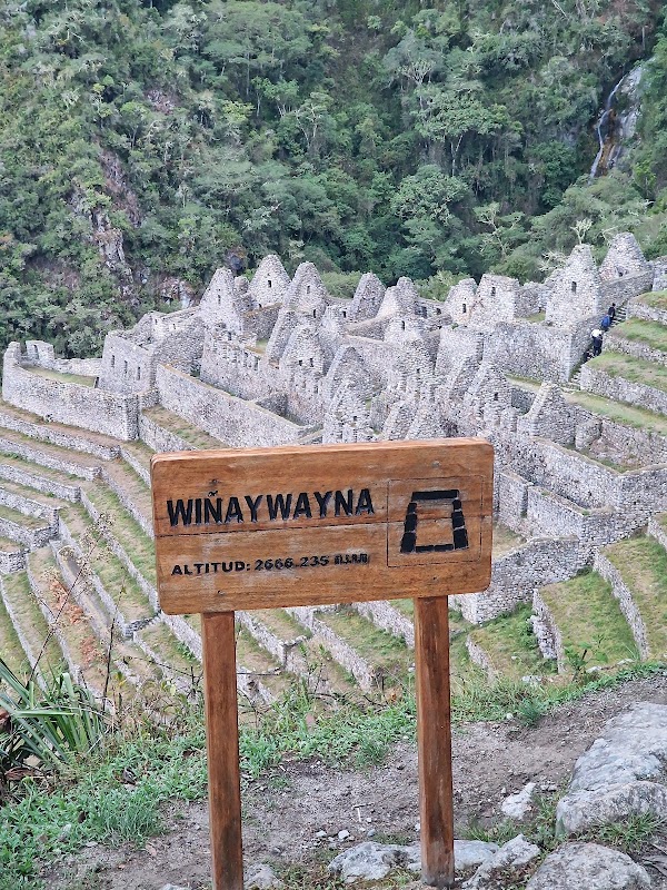 Winay Wayna 2
