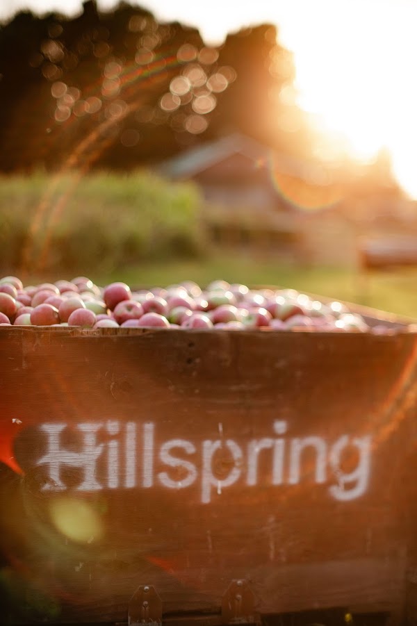 Hillspring Orchard