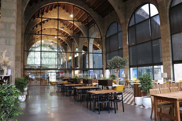 Bar-restaurant del Museu Marítim de Barcelona 1