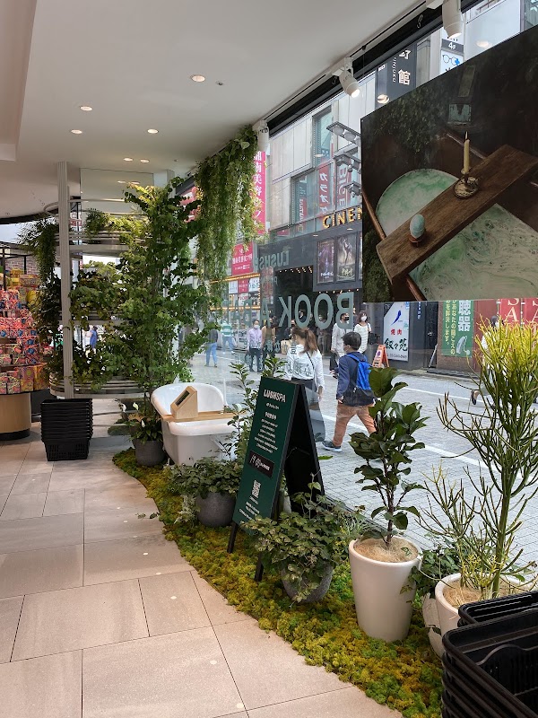 LUSH SPA 1