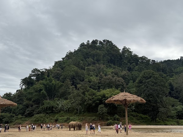Elephant Nature Park 3