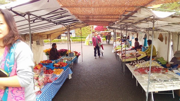 Jinya-mae Morning Markets 5