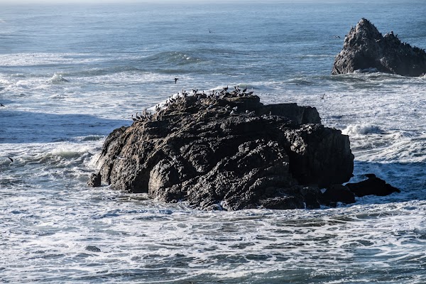 Seal Rocks