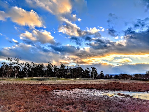 Baylands Park 2
