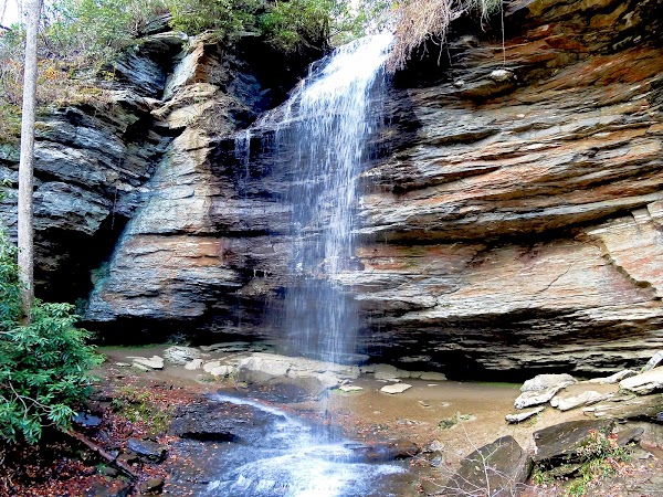 Moore Cove Falls