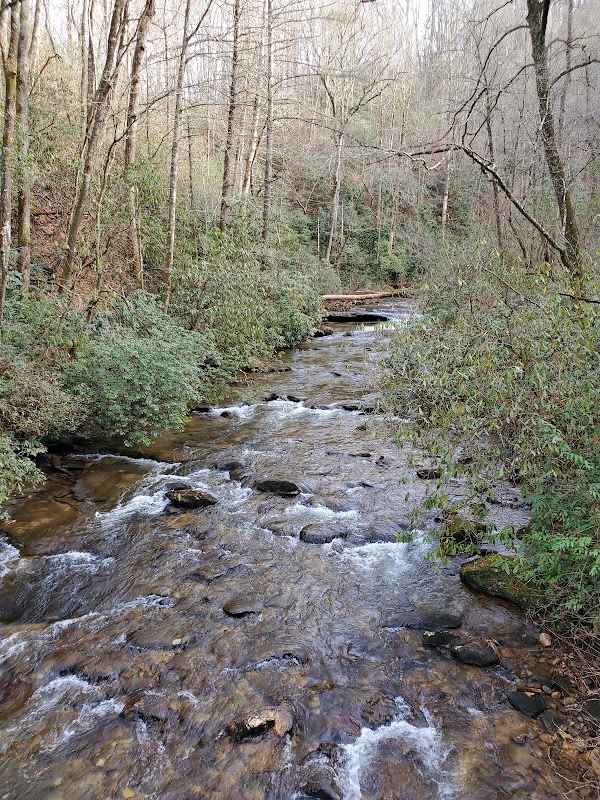 Moore Cove Falls 2