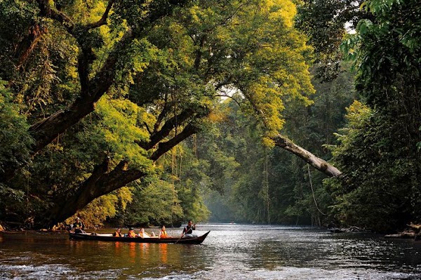 Taman Negara National Park 1