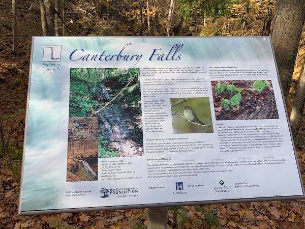 Canterbury Falls 5