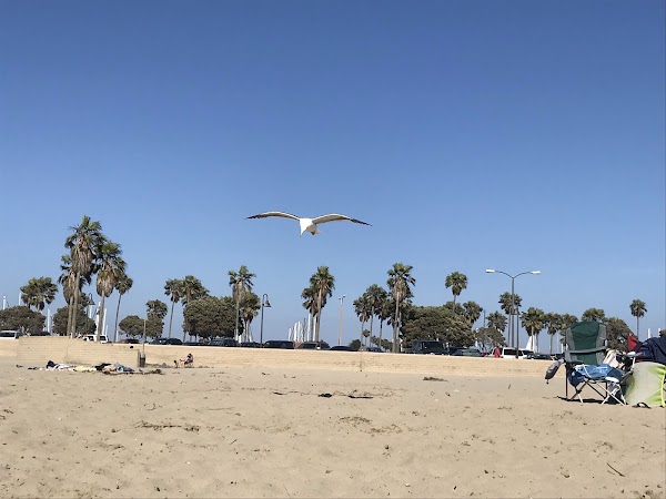 Harbor Cove Beach 5