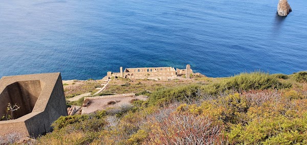 Nebida