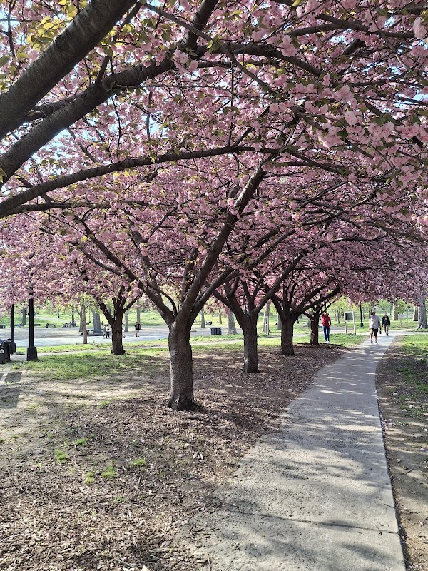 Crotona Park 2