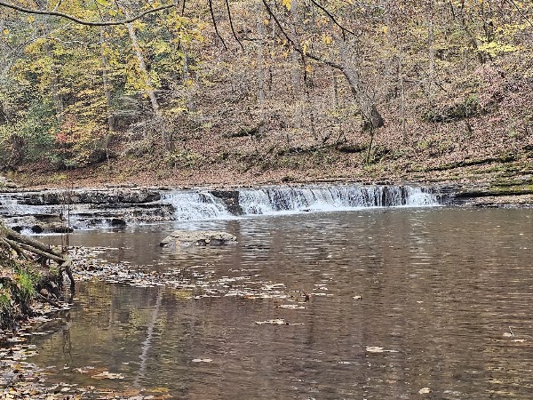 David Crockett State Park 1