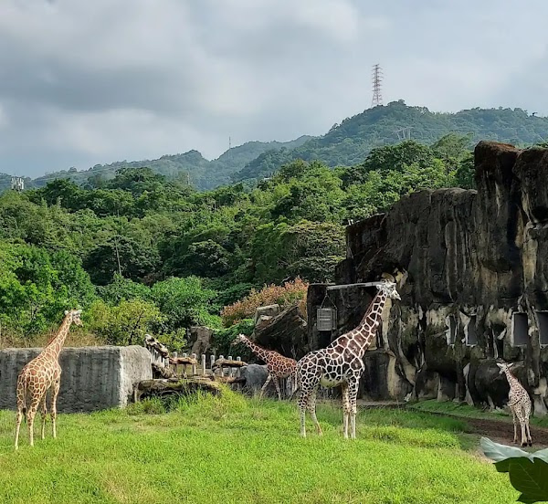 Taipei Zoo 3