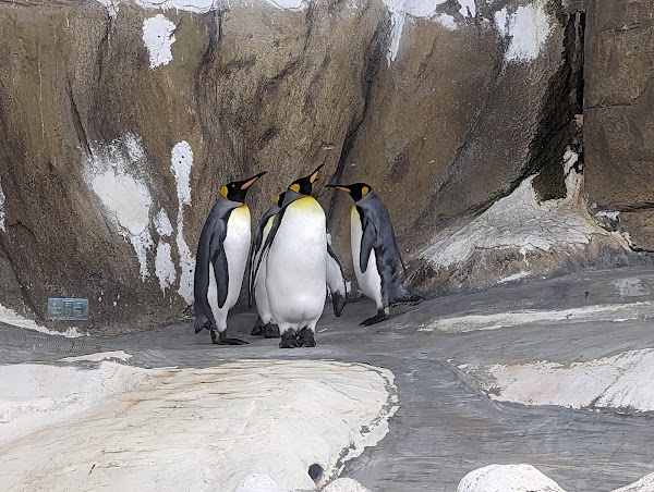 Taipei Zoo 2