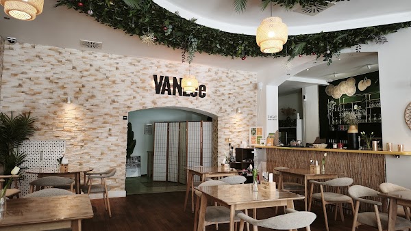 VANLee 3