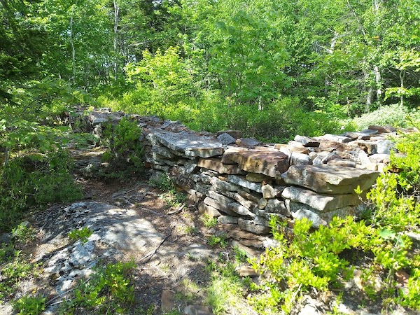 Mystery Walls