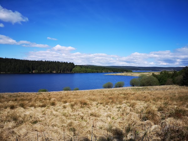 Kielder Forest 4