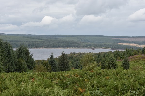 Kielder Forest 3