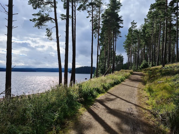 Kielder Forest 2