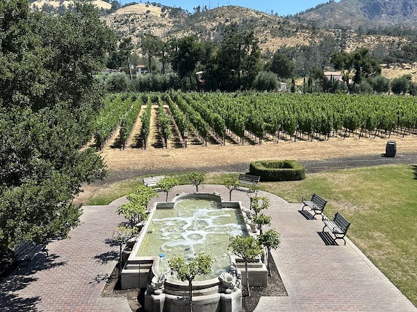 Ledson Winery & Vineyards 2