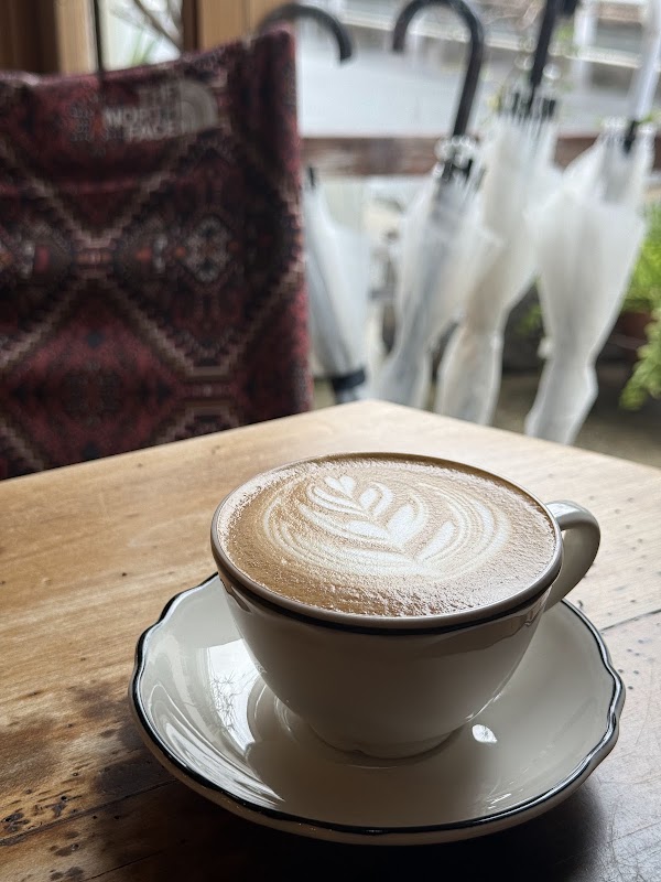 NIYOL COFFEE 2