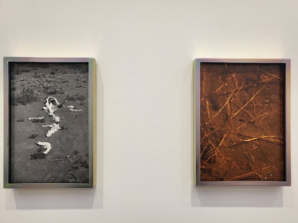 White Cube Seoul 3