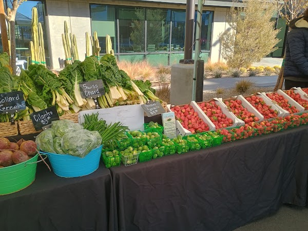 Uncommons Farmers Market 3