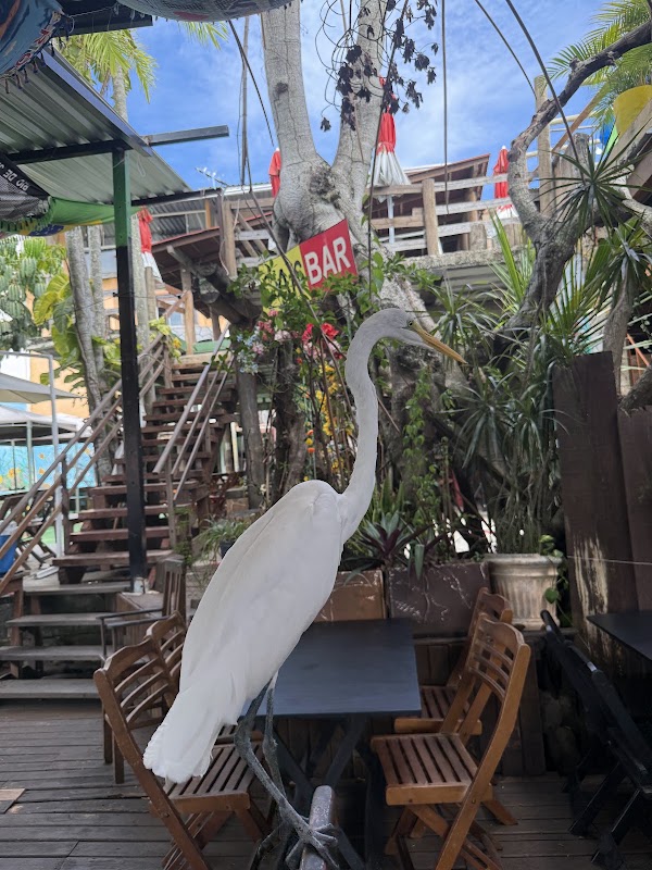 Cais Bar ilha da Gigoia
