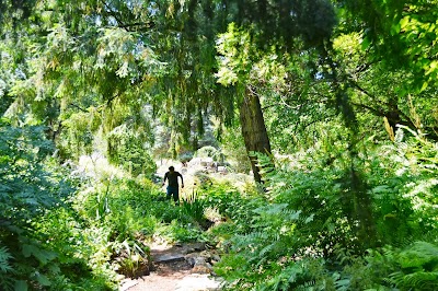 Alpine Garden