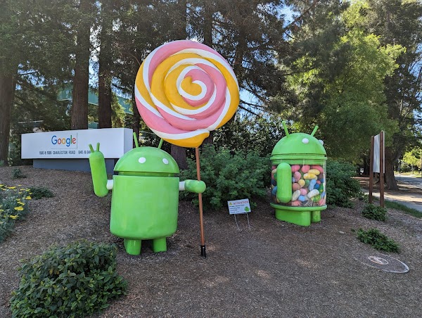 Googleplex 2