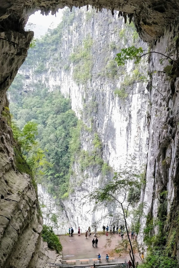 Dashiwei Tiankeng Group Scenic Spot