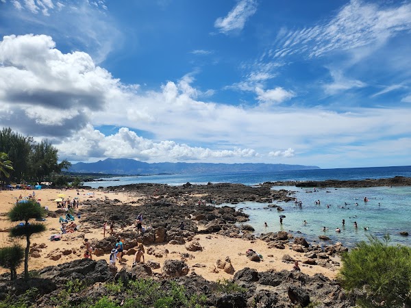 Shark’s Cove 5
