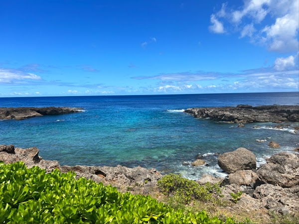Shark’s Cove 4
