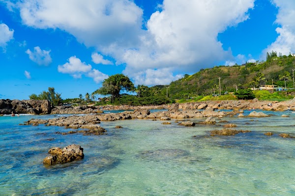 Shark’s Cove 3