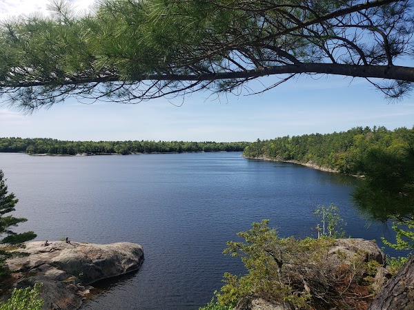 McCrae Lake Conservation Reserve 1