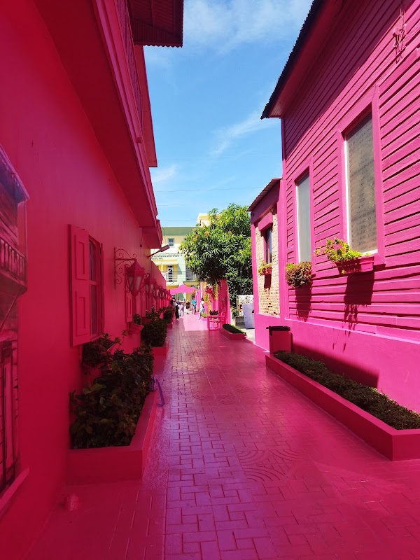 Umbrella Street 4