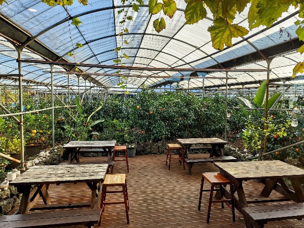 Bubu’s Kitchen