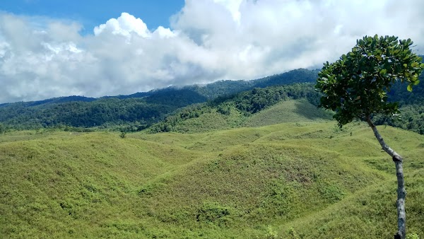 Bukit Teletubbies 1