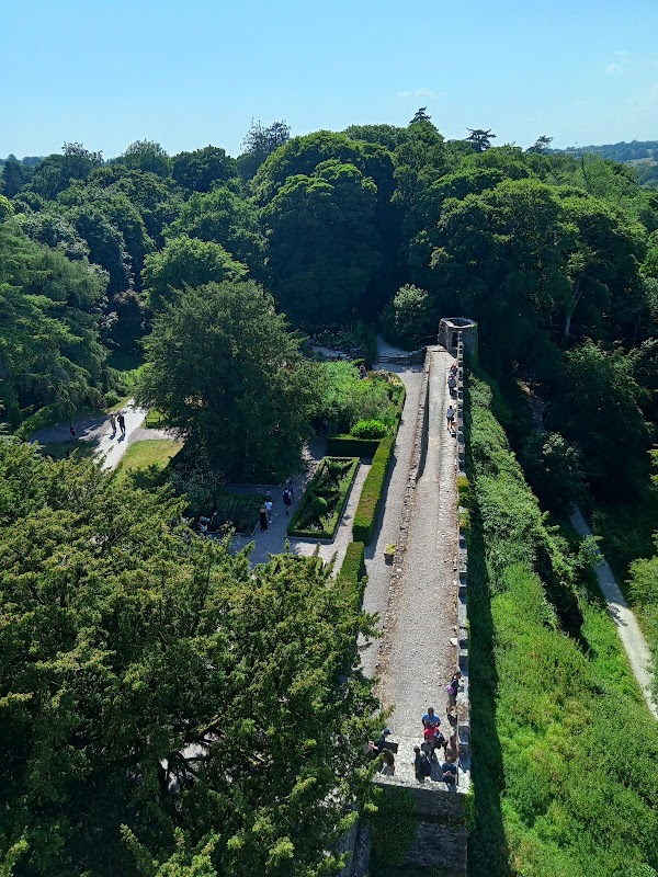 Blarney Stone 4