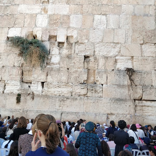 Western Wall 3