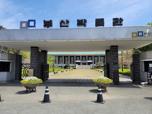 Busan Museum 5