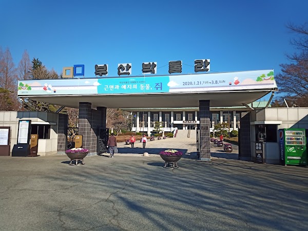 Busan Museum 3