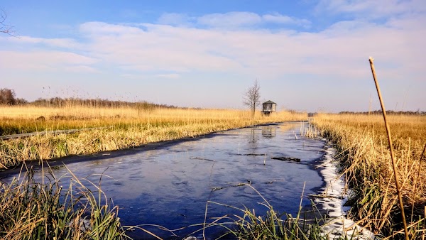 Naardermeer