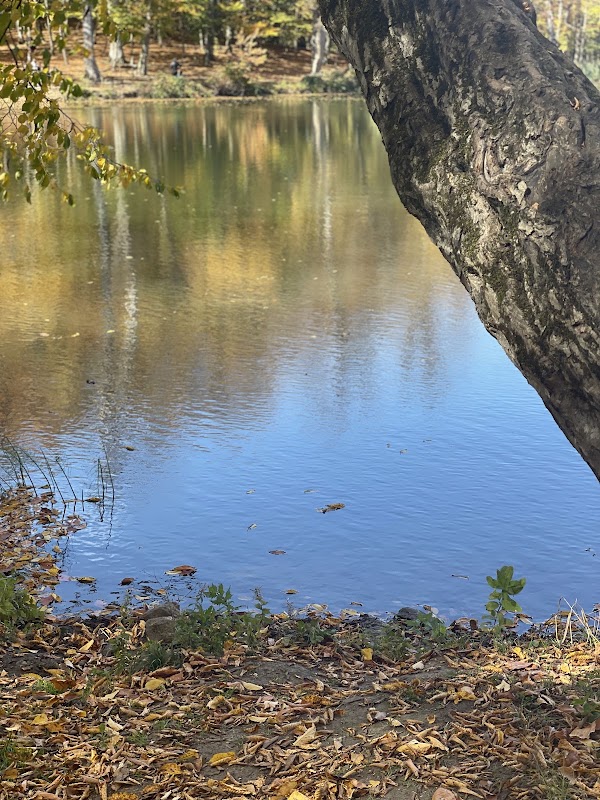 Lake Gosh 5
